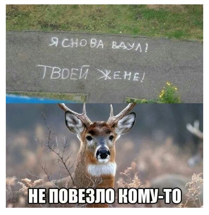 ЯСЪО ЗА ВАУ 71395152 Жане