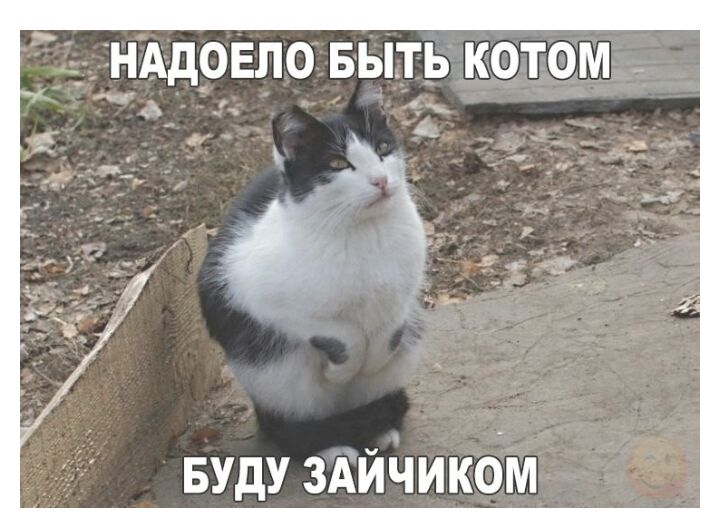 ЁднАдрЕловьпькотом вудузАЙЧИкбм