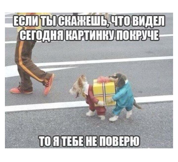 юпиГтБіГеЁАжъшБчто виды сиш_ш_шптиннхчпшнщчі _ то Я ТЕБЕ НЕ ППВЕРЮ