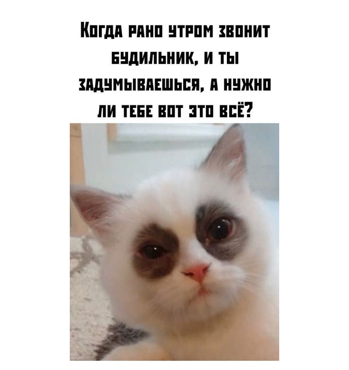 ШШШ МНП ПРПМ ВПНИТ БНдИПЬНИК И ТЫ ЗШНИЫППЕШЬПД П НЖНП ПИ ТЕБЕ ВПТ ЗТП ВСЁ 4