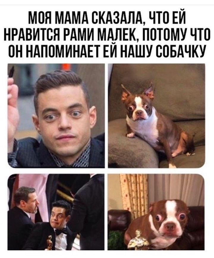 МОЯ МАМА СКАЗАЛА ЧТО ЕИ НРАВИТСЯ РАМИ МАЛЕК ППТПМУ ЧТО ПН НАПОМИНАЕТ ЕИ НАШУ ВОБАЧКУ