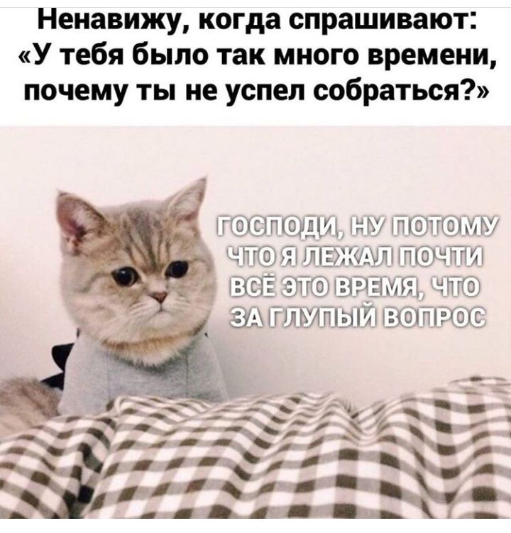 Ненавижу когда спрашивают У тебя было так много времени почему ты не успел собраться ёлткёшщ ПКШММ _ 15 ШЭ т __ ЁЁ 1ТЕіі12іідз ЁЖГГШМПШЮ