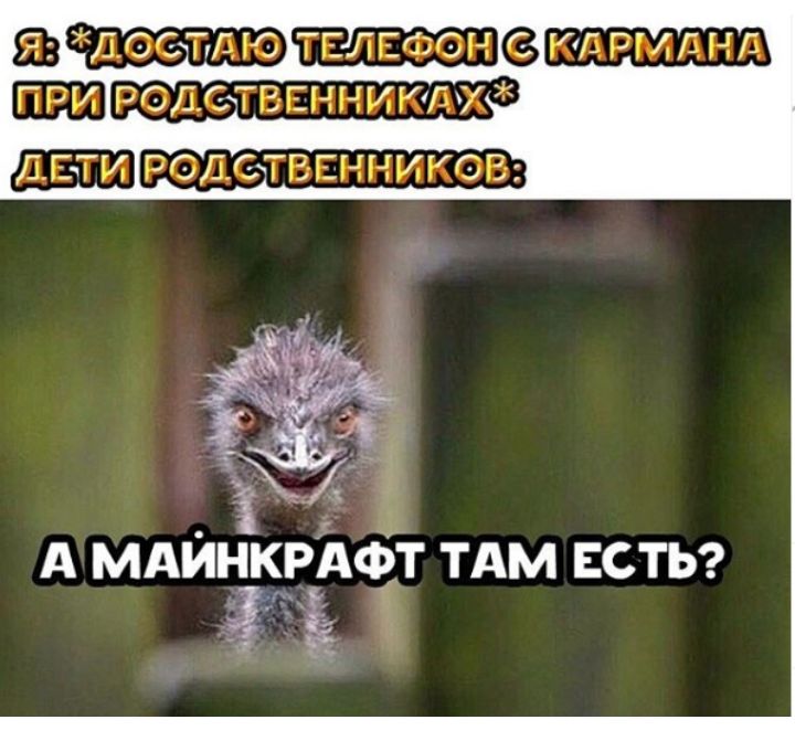 твлваюн ид гэгдид РЗДФТВЕННИУЛХ РОДСЬТВЕННИУОВ _ Ё А мдингквдфт тдм ЕСТЬ