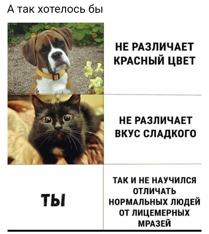 А так хотелось бЫ НЕ РАЗЛИЧАЕТ КРАсный цввт НЕ РАЗЛИЧАЕТ ВКУС СЛАДКОГО ТАК И НЕ НАУЧИЛСЯ ОТЛИЧАТЬ НОРМАЛЬНЫХ ЛЮДЕЙ ОТ ПИЦЕМЕРНЫХ МРАЗЕЙ