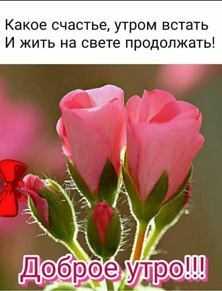 Какое счастье утром встать И жить на свете продолжать