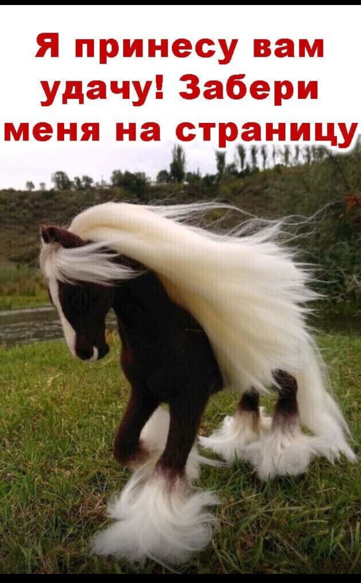 Я принесу вам удачу3абери меня на странтцу