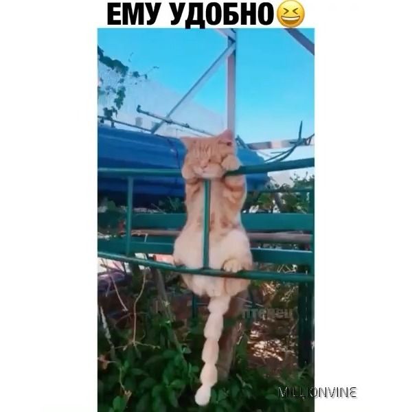 ЕМУ Удовно Н Е