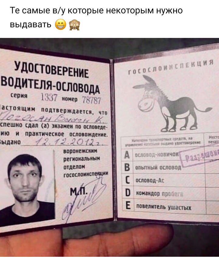 Те самые ву которые некоторым нужно выдавать Удостовврвнив Водителяосновам В 1 Ч иоицв ТЁЧ ВЕТВЯЩЙИ ППЛ7ЕПЖДВЕЦБ ЧШ С _ 1 гг пешио клал в знании пп выпили ию и практическое вып пиления кьшано _ _ _ 1535 2 воппиемкиии регипиальиыи атеми гостиницам нчш ппытмыи пкппапп пшовпд А кпиаиппо г ШБПФЬ повалит ушастых