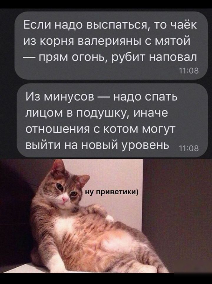 ЕСЛИ НЭДО ВЫСПЭТЬСЯ ТО ЧЗёК ИЗ КОРНЯ валерияны С МЯТОЙ прям огонь рубит наповал 1108 Из минусов надо спать лицом в подушку иначе отношения с котом могут выйти на новый уровень 1108 ну приветики _ ьн
