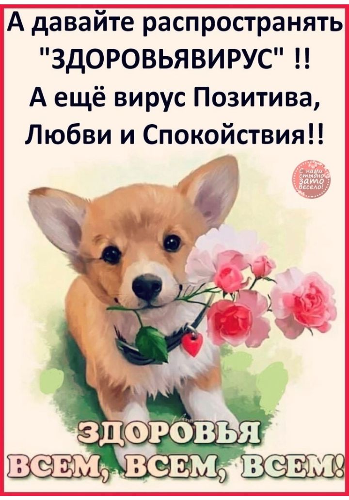 А давайте распространять ЗДОРОВЬЯВИРУС А ещё вирус Позитива Любви и Спокойствия