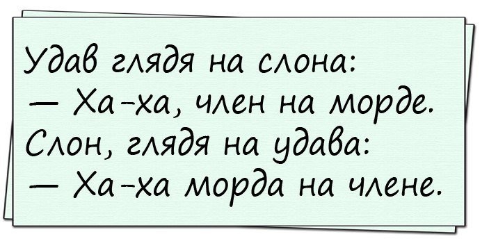 Удаб гАядя на САона Ха ха ими на морде САон гАядя на удада Ха а морда на шине