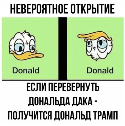 НЕВЕРПНТНПЕ ОТКРЫТИЕ ЕСЛИ ПЕРЕВЕРНУТЬ ПОНАЛЬЛА ЛАКА ПОЛУЧИТСЯ ДПНАЛЬЛ ТРАМП