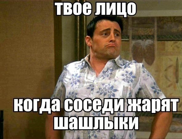 твое лицо когда соседщжапят МЫ ч шашлыки М вы