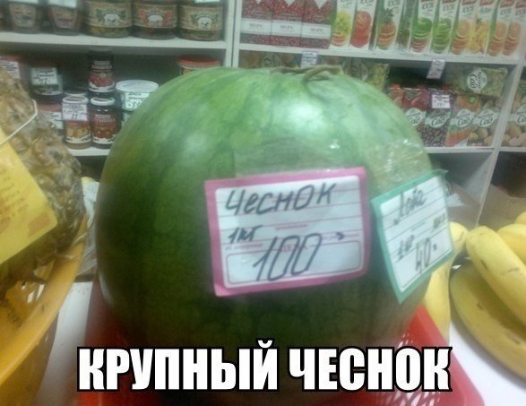 нгипныи чіен
