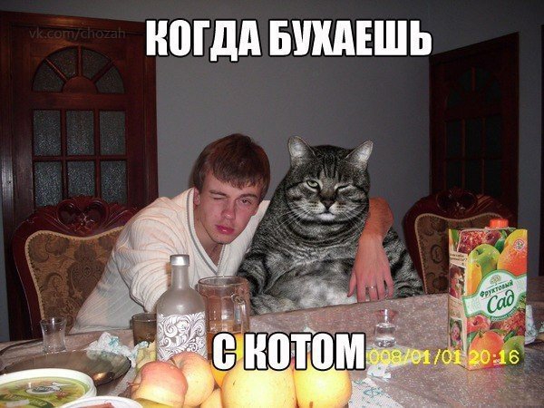 Юдд БШЕШЬ