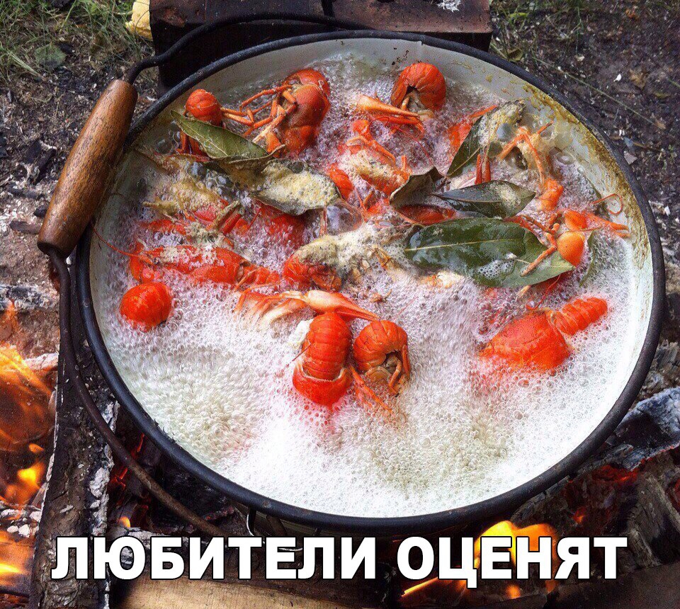 7 ЛЪЁБЁИЁЕЛИ оЦЕнят