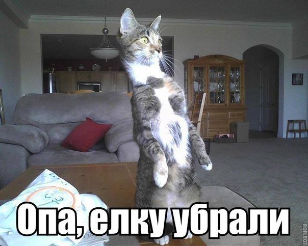 гм _ 3 Щбпёпи