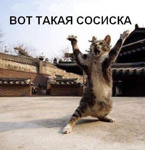 ВОТ ТАКАЯ СОСИСКА