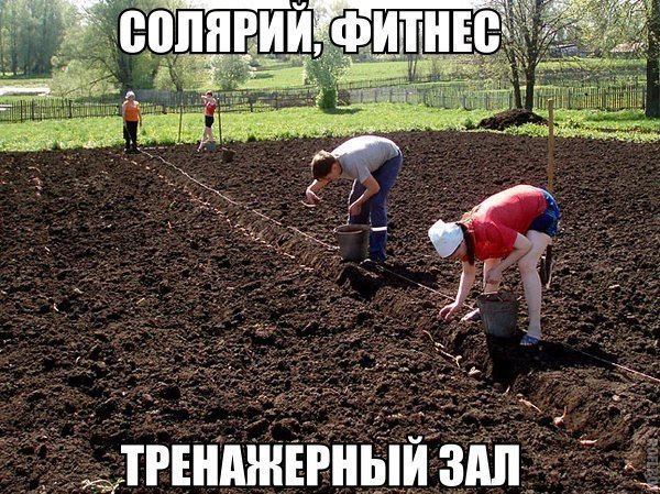 Шить зщ