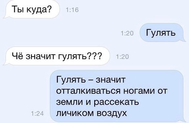 Ты куда Гулять Чё значит гулять Гулять значит отталкиваться ногами от земли и рассекать личиком воздух