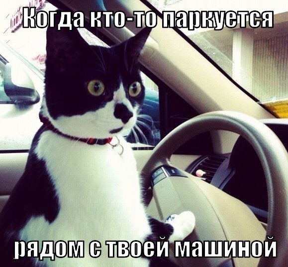 пндоой