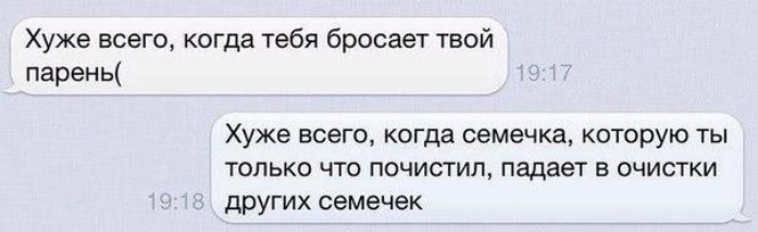 Хуже всего когда тебя бросает твой парень Хуже всего когда семечка которую ты только что почистил падает в очистки других семечек