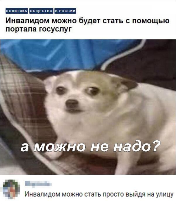 ниш Инвалидом можно будет стать помощью портала госуслуг Инвалидом можно стать просто выйдя на улицу
