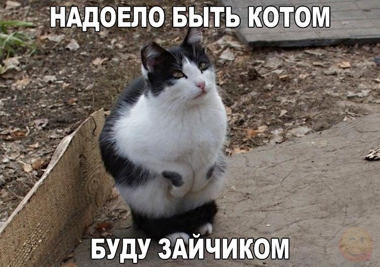 до Еловь д 13 вудузаййикомщ