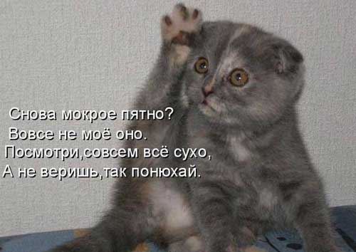 Сназа моіроа г 305 а не Моё Пошишгридэз А не зэришып