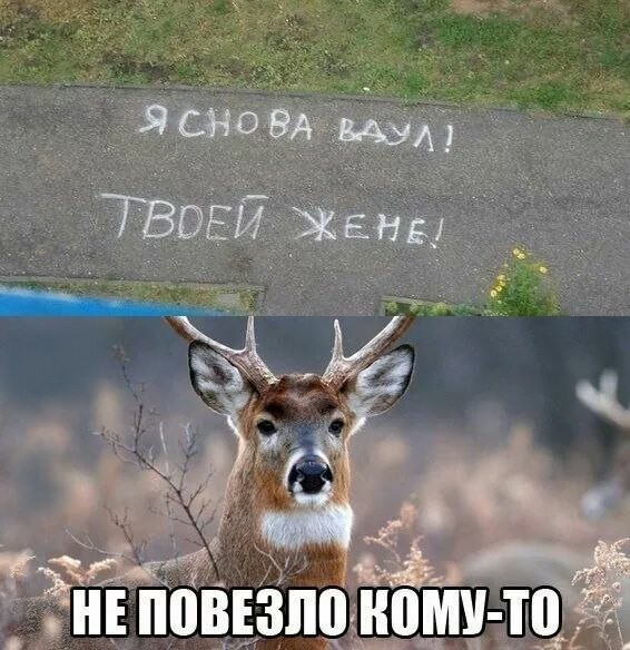 г жк _ Ён поввзпо нами то