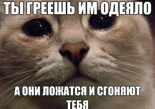 тшшшь им шпица А И ШИНА И сюннют ТЕБЯ