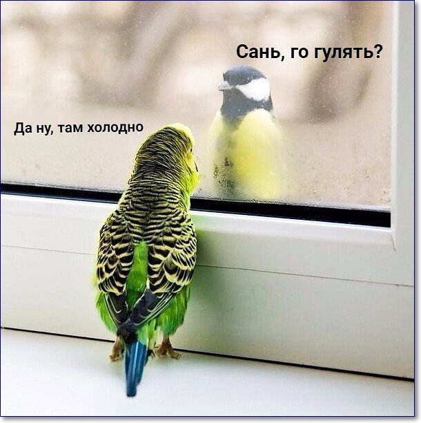 да ну там холодно Сань го гу ять