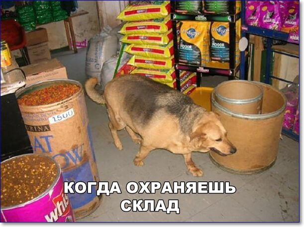 Авг