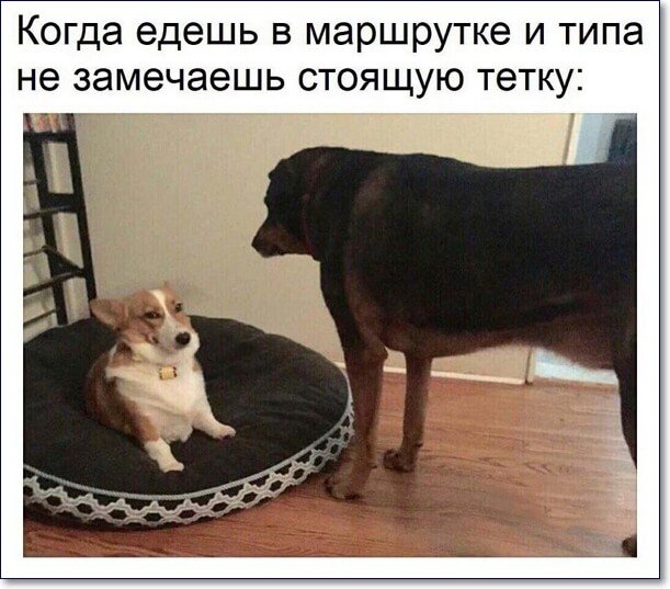 Когда едешь в маршрутке и типа не замечаешь стоящую тетку