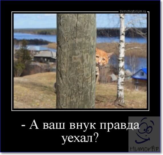 А ваш внук правдад уехал