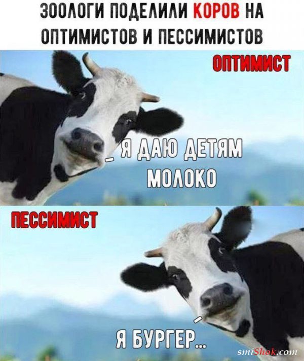 ЗОШЮГИ ПОАЕАИАИ КОРОВ НА ОПТИМИВТОВ И ПЕСВИМИСТПВ отлит _ РёЗЁЁЖБШ пишит Ш БУРГЕР