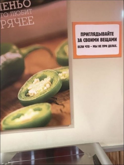 пищащий и своими вешки штшжмшп г
