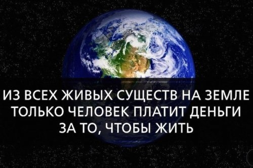 ИЗ ВСЕХ ЖИВЫХ СУЩЕСТВ НА ЗЕМЛЕ ТОЛЬКО ЧЕЛОВЕК ПЛАТИТ ДЕНЬГИ ЗА ТО ЧТОБЫ ЖИТЬ