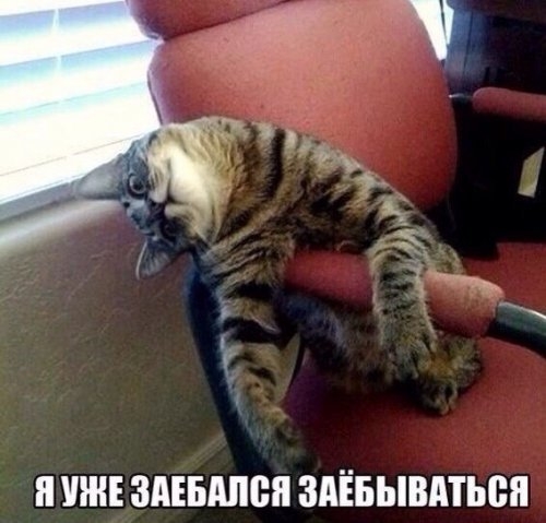 УЖЕ ЗАЕБМЮЯ ЗАЁБЫВМЬБЯ