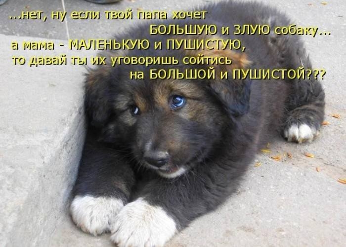 нагглу если твой пап Большую и злу в мдлэ ы_ую и пуш оворишь со _ 3 на вольшои и Ттушистоиг