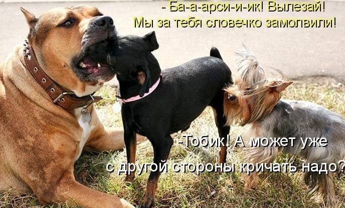 В ОСи и ик Выл словечко замолвили