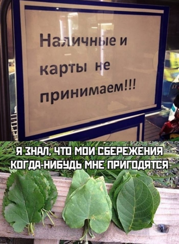 Наличные и карты не
