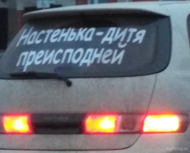 маткаигл дремломеи ______
