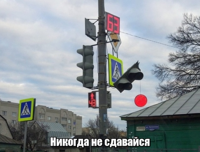 Ниногда сдавайся