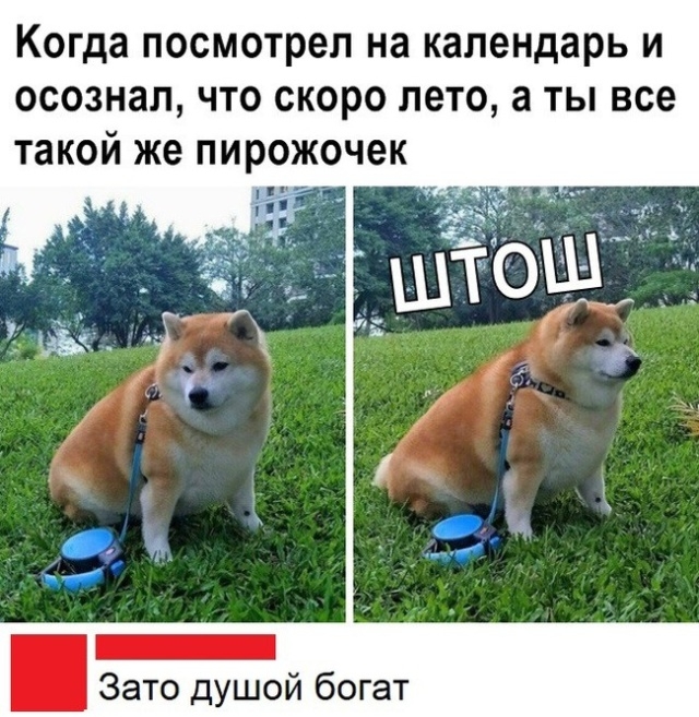 Когда посмотрел на календарь И ОСОЗНЗЛ ЧТО СКОРО ЛЕТО а ТЫ все такой же ПИРОЖОЧЗК _ Зато душой богат