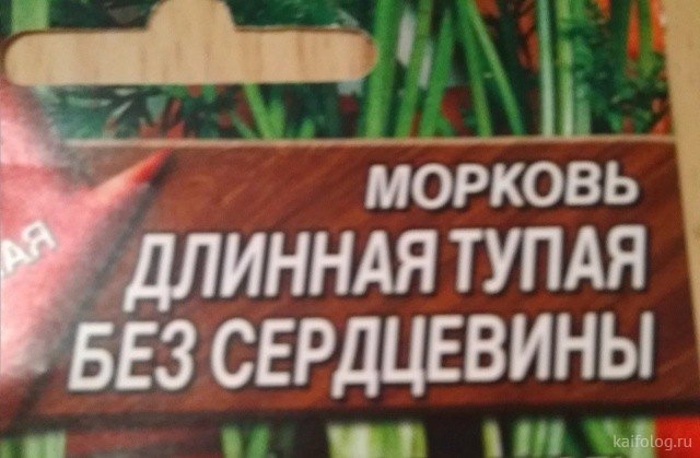 ИННАЯ тупдя зсврдцввины