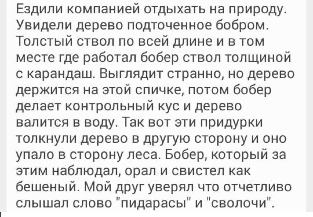 Ездили компанией отдыхать на природу Увидели дерево подточенное бобром Толстый ствол по всей длине и в том месте где работал бобер ствол толщиной с карандаш Выглядит странно но дерево держится на этой спичке потом бобер делает контрольный кус и дерево валится в воду Так вот эти придурки толкнули дерево в другую сторону и оно упало в сторону леса Бобер который за этим наблюдал орал и свистел как бе