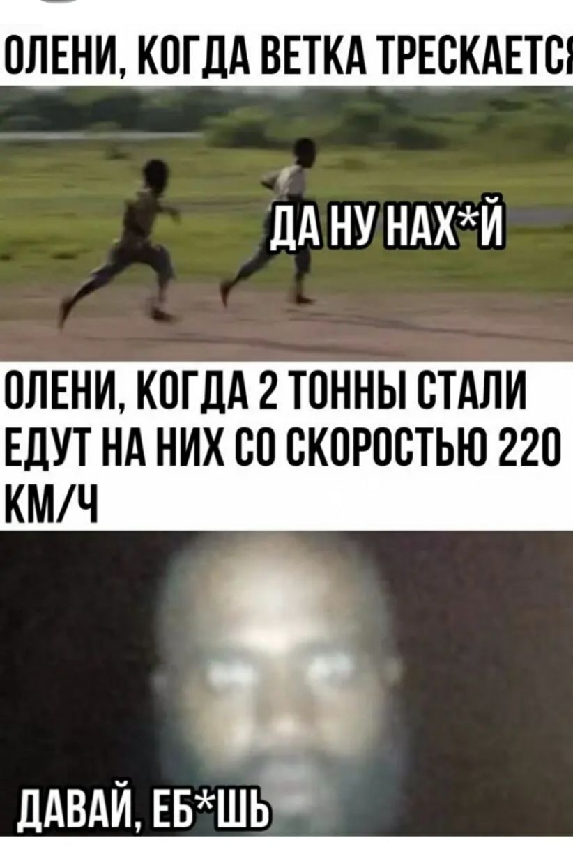 ОЛЕНИ КОГДА ВЕТКА ТРЕСКАЕТС дд НУ НАХЙ ОЛЕНИ КОГДА 2 ТОННЫ СТАЛИ ЕЛУТ НА НИХ СО СКОРОСТЬЮ 220 КМ Ч Д___АВАЙ ЕБШЬ