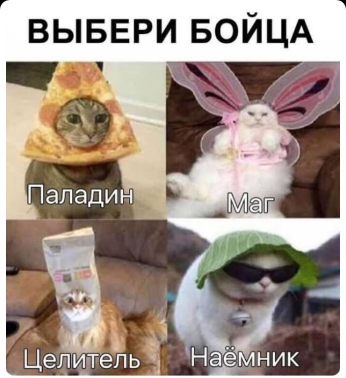 ВЫБЕРИ БОЙЦА