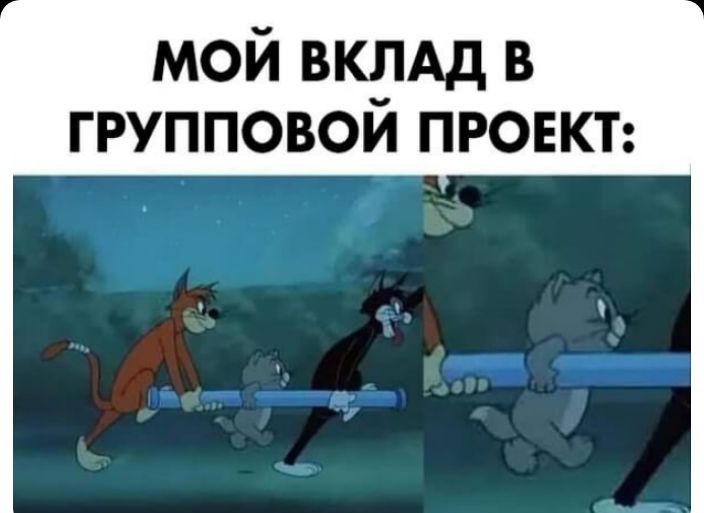 мой ВКЛАД в групповой ПРОЕКТ
